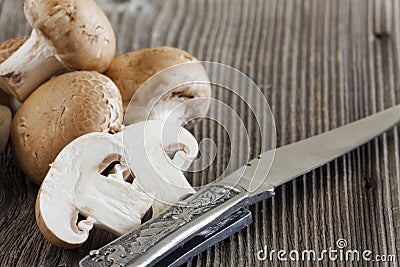 Fresh Mushrooms and a Hunting Knife