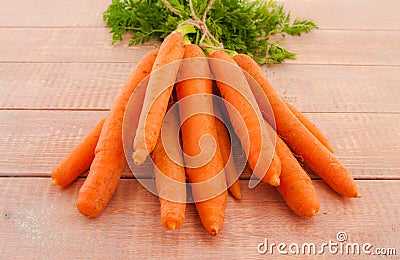 Fresh organic carrots with their tops