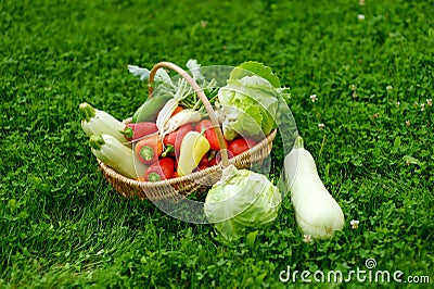 Fresh organic vegetables in a basket