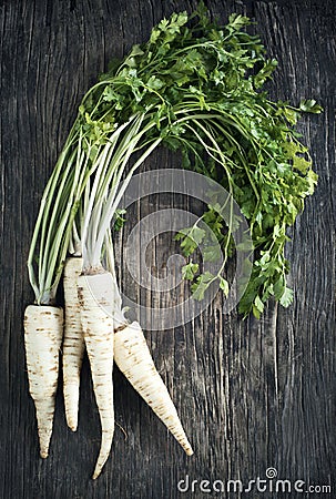 Fresh parsley root on wooden background