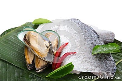 Fresh raw sea food
