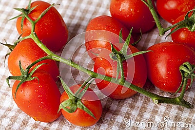 Fresh red organic tomatoes on vine