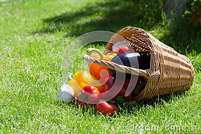 Fresh ripe vegetables in the basket