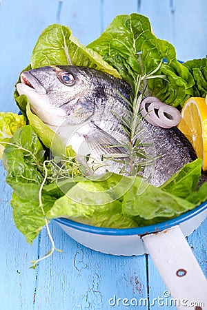 Fresh sea bream with lemon and green salad