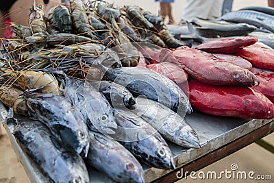 Fresh seafood