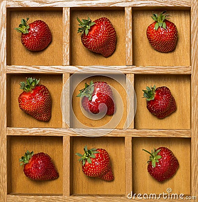 Fresh strawberries in shadow box