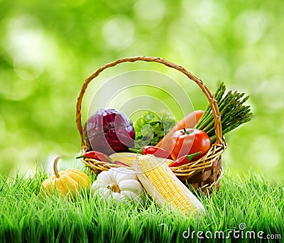 Fresh vegetables in the basket on green grass.