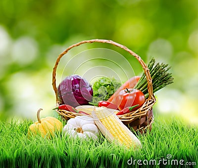 Fresh vegetables in the basket on green grass