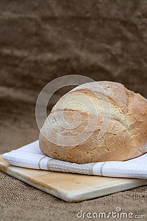 Freshly baked French pain de campagne loaf of bread