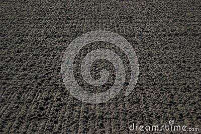 Freshly Raked Dirt at a Horse Racing Track