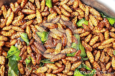 Fried silk worms in the market