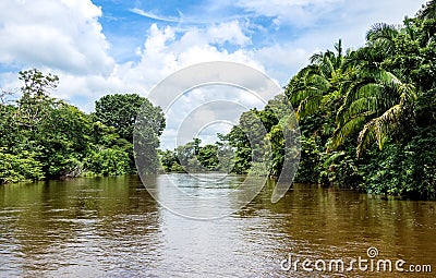 Frio River in Costa Rica jungle.