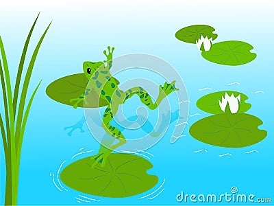 Frog pond