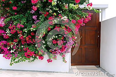 Front view of a wooden door on a white house