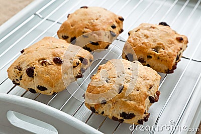 Fruit scones on a cooling tray