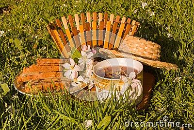 Fruits tea cup and blooming apple flower on green grass backgrou