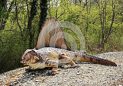 dinosaur with large sail on back