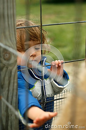 Fun Petting Animals at the Petting Zoo.