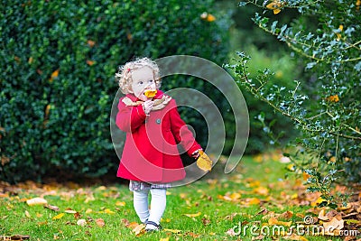 Funny cute toddler girl in red coat in autumn park