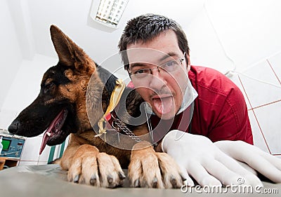 Funny vet with dog