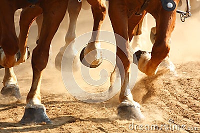 Galloping Horse Hooves