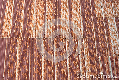 Galvanized iron rust roof