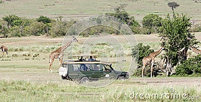 Game viewing vehicle in the savanna