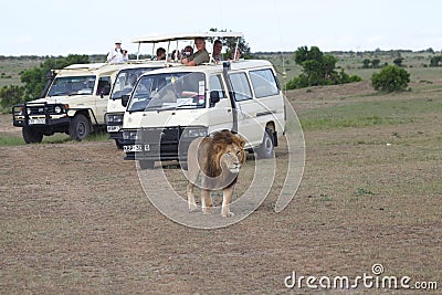 Game viewing vehicle in the savanna