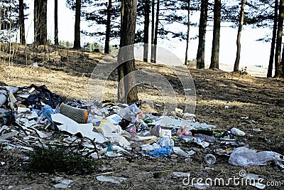 Garbage in forest, problems of environment