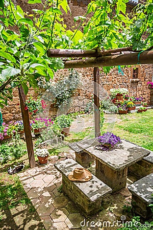 Garden full of flowers and vines in Tuscany