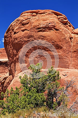 Garden Gnome Rock Formation Canyon Arches National Park Moab Uta