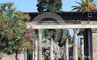 Garden in Pompeii