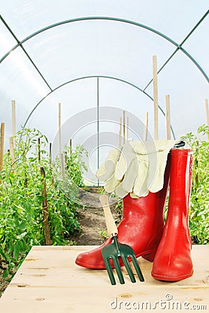 Garden rake and red rubber boots in a hothouse