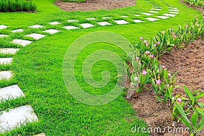 Garden stone foot path with grass