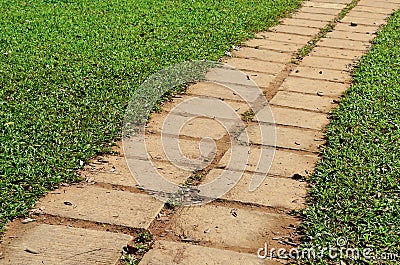 Garden stone path with grass