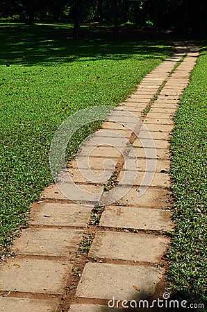 Garden stone path with grass