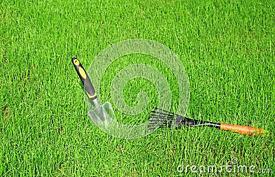 Garden tools for lawn care