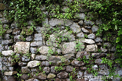 Garden Wall at Ninfa, near Rome