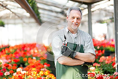 Gardener in a green house