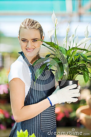 Gardener holding flowers
