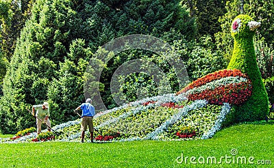 Gardeners working at the flower bird on Flower Island Mainau, a unique Island of Flower, Lake Constance, Germany