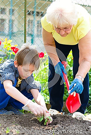 Gardening, planting concept