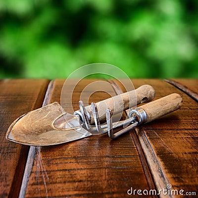 Gardening tools, rake and scoop on wooden table
