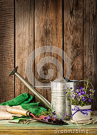Gardening tools on vintage wood background - spring