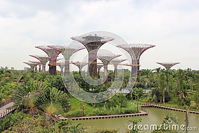 Gardens by the Bay, an integral part of a strategy by the Singap