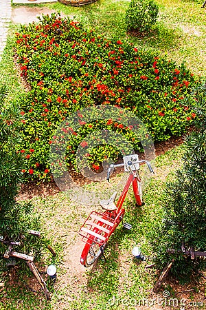 The gardens were cut into a heart shape With a red bicycle