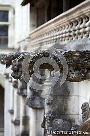 Gargoyle on Gothic cathedral of Saint Gatien in Tours