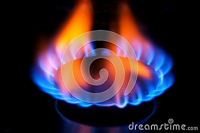 Gas burner flame