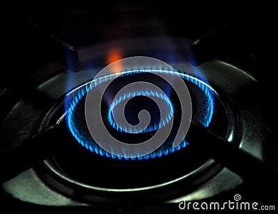 Gas stove flame
