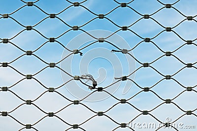 Gash on wire mesh